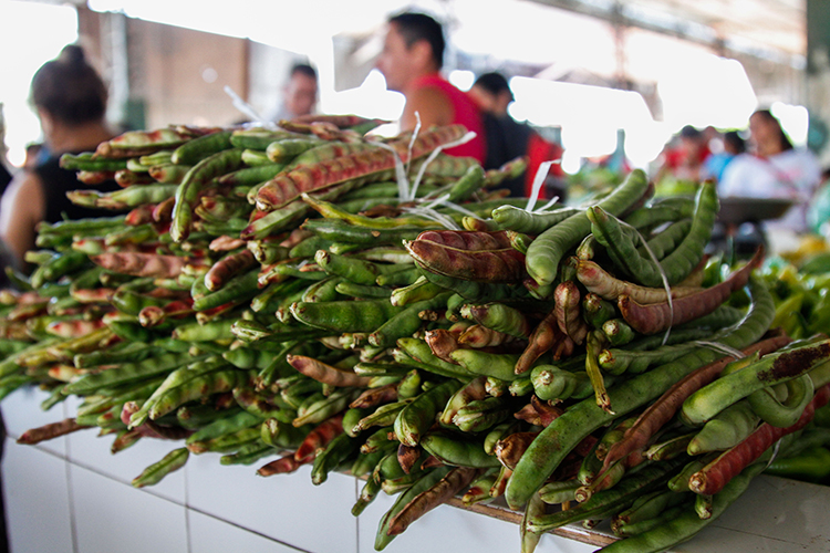 notícia: Projeto Feira Itinerante Solidária aproxima agricultores da população