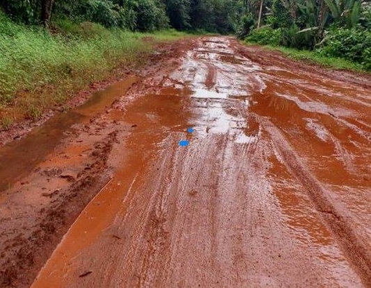 notícia: Setrap continua com serviços de manutenção na BR-156