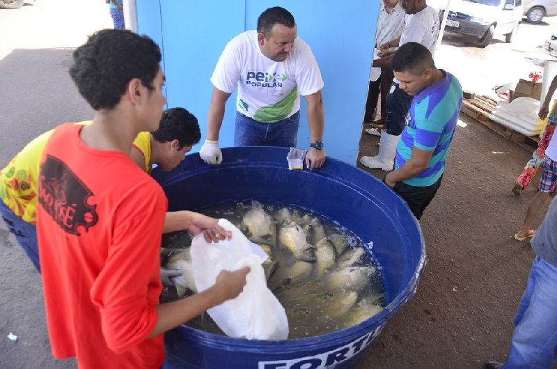 A troca de gelo será feita constantemente para manter a qualidade do peixe. 