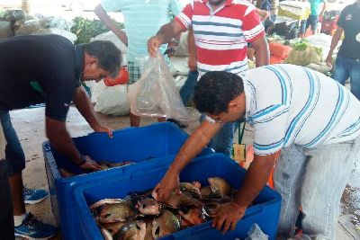 notícia: Mais de mil agricultores são beneficiados com o Programa de Aquisição de Alimentos no AP