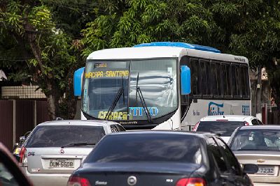 notícia: Setrap cria terminal provisório para atender brincantes em Santana