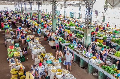 notícia: Feiras do Produtor em Macapá e Santana terão funcionamento alterado neste fim de ano