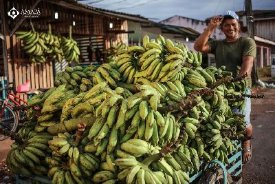 notícia: Feira itinerante beneficia produtores rurais do Amapá