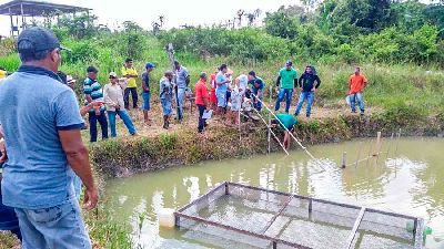 notícia: Governo realiza oficinas de piscicultura e beneficiamento de pescado no município de Amapá