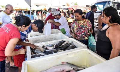 notícia: Programa Peixe Popular comercializa oito toneladas de pescado em dois dias de ação 