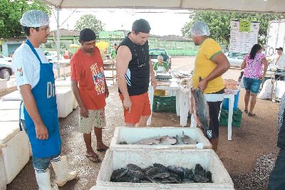 notícia: Diagro intensifica fiscalizações na comercialização de pescado