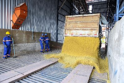 notícia: Investimento na produção mecanizada garante safra 16% maior no Amapá