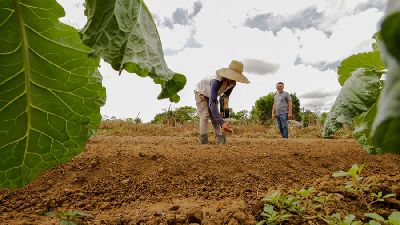 notícia: Extensionistas rurais comemoram 44 anos de atividade com auxílio ao homem do campo