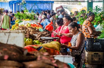 notícia: Arrecadação em feiras do agricultor cresce 30% em um ano