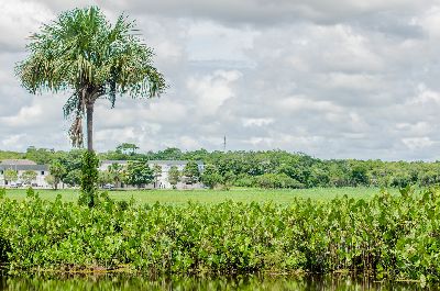 notícia: Governo do Amapá criará três unidades de conservação ambiental em Macapá e Santana