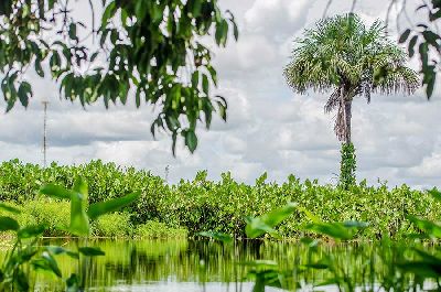 notícia: Consulta pública vai decidir se Lagoa dos Índios pode virar Unidade de Conservação