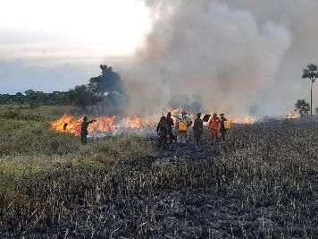 notícia: Mais de 750 focos de incêndio em lixeiras viciadas e mato seco são registrados no AP