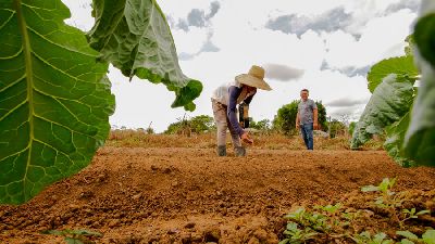 notícia: Macapá é o município com mais imóveis registrados no Cadastro Ambiental Rural