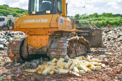 notícia: Após nova apreensão no porto de Santana, Diagro destroi mais de 500 quilos de queijo 