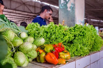 notícia: Governo garante escoamento da produção rural durante pandemia de covid-19