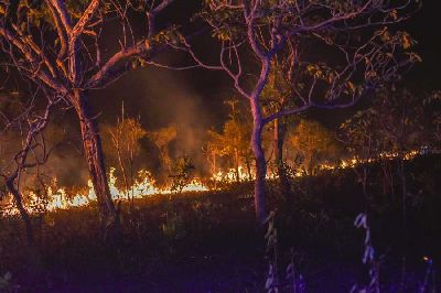 notícia: IEPA aponta redução de mais de 50% nos focos de incêndio nos primeiros dias de setembro