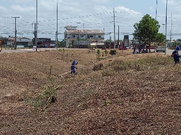 notícia: Governo do Estado inicia manutenção da Rodovia Norte/Sul