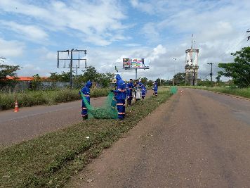 notícia: Governo do Amapá proporciona capacitação e inclusão social de 50 apenados no Amapá