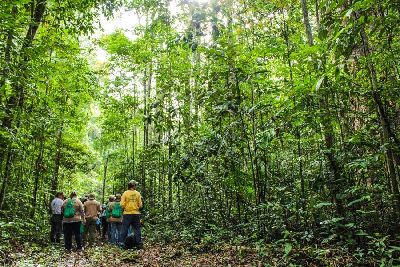 notícia: Race to Zero: Amapá integra acordo global para redução de gases do efeito estufa