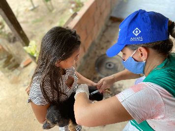 notícia: Governo do Amapá e Prefeitura Mazagão realizam campanha de vacinação para animais domésticos