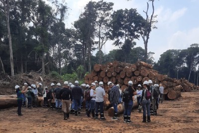 notícia: Governo do Amapá investe na especialização de técnicos ambientais para identificação de espécies vulneráveis de madeira