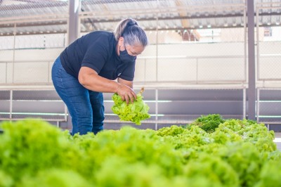 notícia: Em 2023, Governo do Amapá já beneficiou mais de 27 mil famílias com ações do Programa de Aquisição de Alimentos