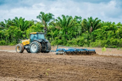 notícia: COP 28: Amapá vai apresentar papel da regularização fundiária no desenvolvimento sustentável das áreas agrícolas