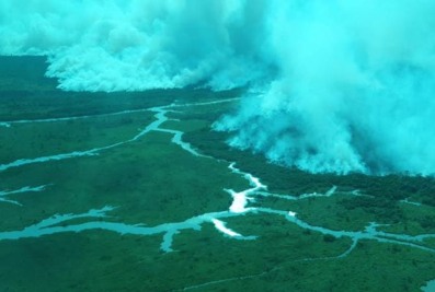 notícia: Governo do Amapá integra ação de combate a incêndio que atinge a Reserva do Lago Piratuba 