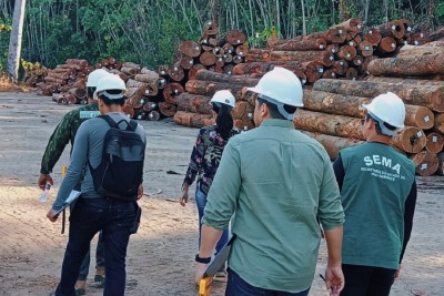 notícia: Governo do Estado monitora plano de manejo florestal sustentável de indústria madeireira no Vale do Jari