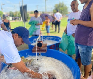 notícia: Peixe Popular já garantiu a venda de 45 toneladas de peixe em Macapá