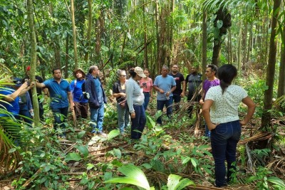 notícia: Governo do Amapá visita quilombo do Cunani para traçar estratégias de fomento das produções de cacau e açaí