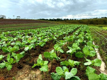 notícia: Regularização Fundiária: Governo do Amapá promove parceria para beneficiar mais de 500 produtores rurais de Mazagão Velho 