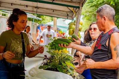 notícia: Feira do Produtor na Fazendinha contabiliza 1,2 tonelada de alimentos e mais de 2 mil atendimentos de saúde e cidadania