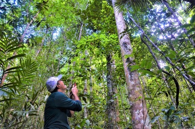 notícia: Governo do Amapá inicia Junho Verde 2023 com o tema ‘Meio Ambiente e Educação: Pilares para o Desenvolvimento'