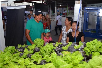 notícia: Na 52ª Expofeira, público tem a oportunidade de conhecer método de produção de hortaliças sem o uso de solo