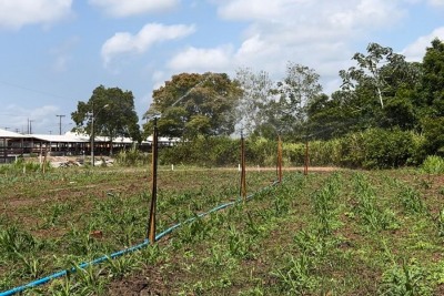 notícia: 52ª Expofeira do Amapá terá área com demonstração de 15 alternativas para potencializar produção rural