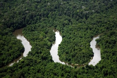 notícia: Governo do Amapá acompanha buscas por helicóptero desaparecido na região do Parque do Tumucumaque