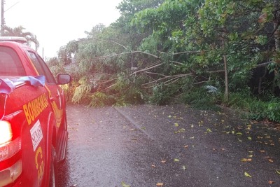 notícia: Corpo de Bombeiros atende ocorrências provocadas pela chuva forte em Macapá