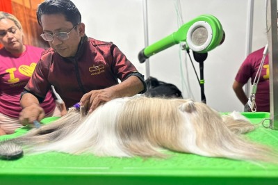 notícia: Na 52ª Expofeira, Governo do Amapá oferta capacitação sobre cuidados com pets 