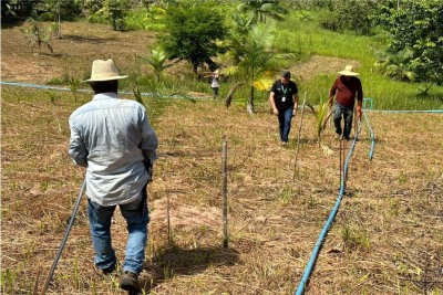 notícia: Governo do Amapá vai beneficiar 160 famílias produtoras de Porto Grande com sistemas de irrigação