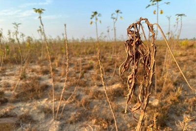 notícia: Governo do Estado recebe mais de R$ 10,3 milhões da União para amenizar impactos da crise climática no Amapá