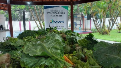 notícia: Programa de Aquisição de Alimentos destina doação para famílias vítimas da violência doméstica