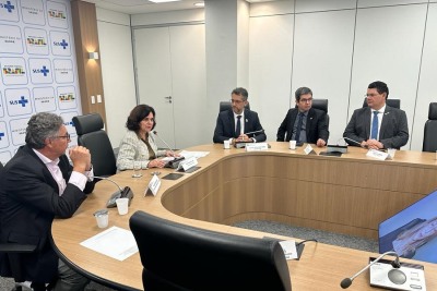 notícia: Governador apresenta ações emergenciais para conter surto de síndromes gripais à ministra da Saúde