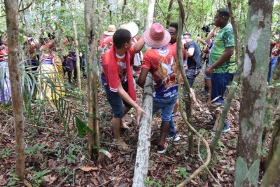 notícia: Ciclo do Marabaixo: retirada de mastros do Curiaú homenageia Divino Espírito Santo e Santíssima Trindade 