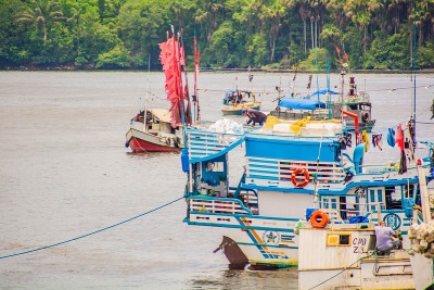 notícia: Amapá e Guiana Francesa abordam meio ambiente na Comissão Mista Transfronteiriça Brasil/França