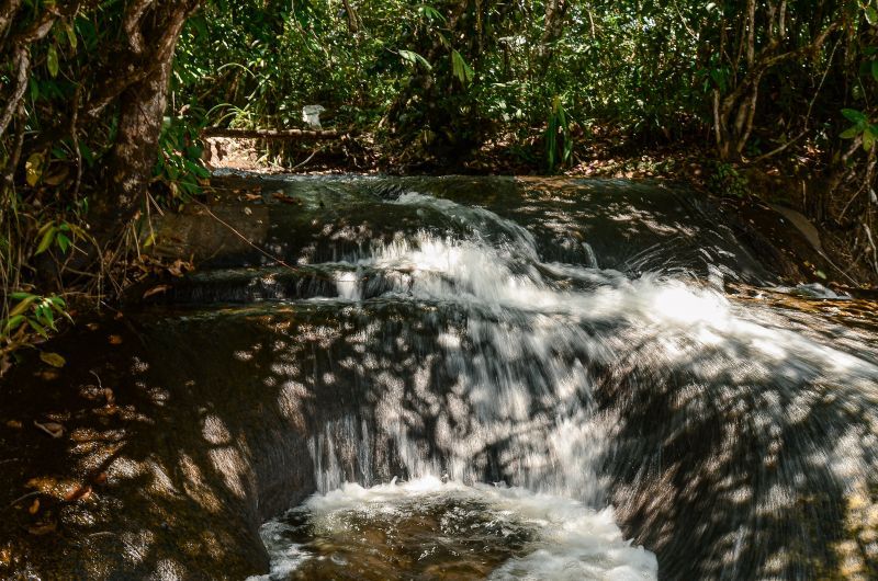 Reserva de Desenvolvimento Sustentável (RDS) do Rio Iratapuru