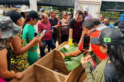 notícia: Governo do Amapá envia técnicos e extensionistas rurais para capacitação sobre colheita e fermentação de amêndoas, no Pará