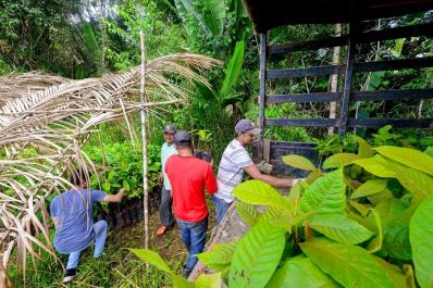 notícia: Governo do Amapá lança edital para credenciar técnicos em vistoria rural 