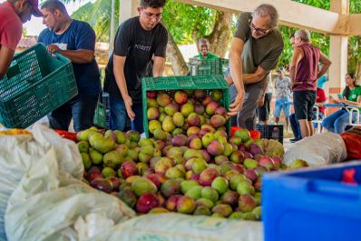 notícia: Governo do Amapá garante a agricultores familiares a arrecadação de mais de R$ 88 mil, em Macapá 