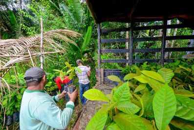 notícia: Em 2023, Governo do Amapá investiu mais de R$ 34 milhões no setor primário